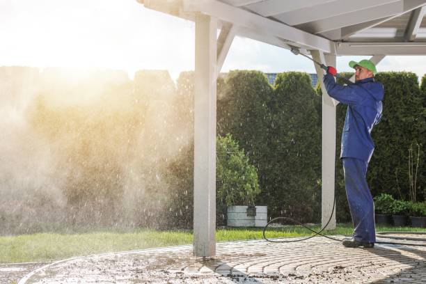 Best Solar Panel Cleaning  in El Cenizo, TX