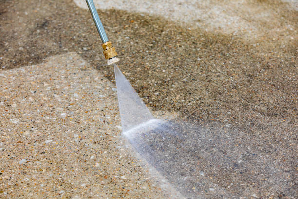 Best Roof Washing  in El Cenizo, TX